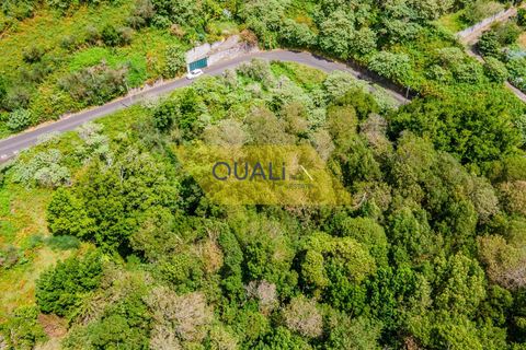 Helårsgrund i Machico, Madeira, Machico - € 35.000 | Ref: Q1781 - foto 3