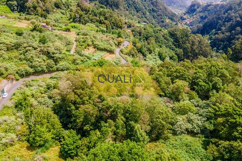 Helårsgrund i Machico, Madeira, Machico - € 35.000 | Ref: Q1781 - foto 1