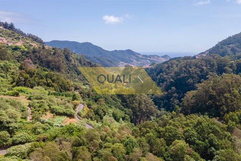 Helårsgrund i Machico, Madeira, Machico - € 35.000 | Ref: Q1781 - foto 4