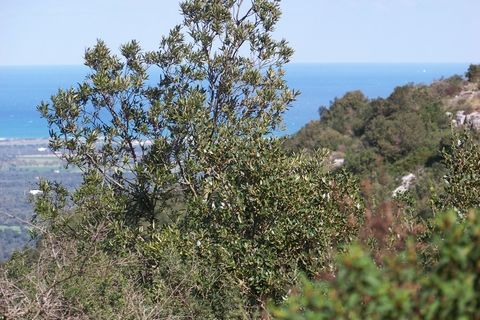 Landejendom i Ostuni, Brindisi, Ostuni - € 4.500.000 | Ref: 120 - foto 28
