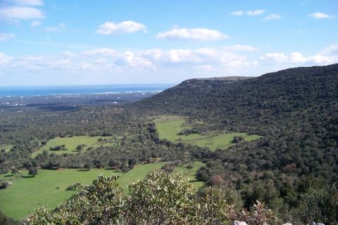 Landejendom i Ostuni, Brindisi, Ostuni - € 4.500.000 | Ref: 120 - foto 33