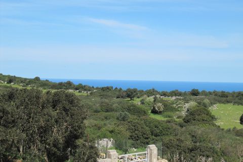 Landejendom i Ostuni, Brindisi, Ostuni - € 4.500.000 | Ref: 120 - foto 6