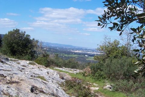 Landejendom i Ostuni, Brindisi, Ostuni - € 4.500.000 | Ref: 120 - foto 29