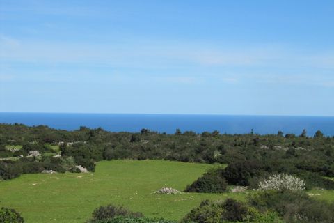 Landejendom i Ostuni, Brindisi, Ostuni - € 4.500.000 | Ref: 120 - foto 9