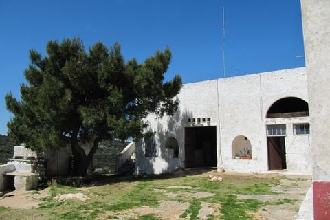Landejendom i Ostuni, Brindisi, Ostuni - € 4.500.000 | Ref: 120 - foto 10