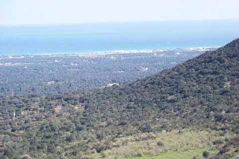 Landejendom i Ostuni, Brindisi, Ostuni - € 4.500.000 | Ref: 120 - foto 27