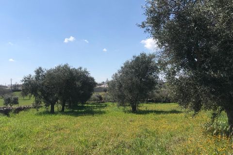 Landejendom i Cisternino, Brindisi, Cisternino - € 220.000 | Ref: 116 - foto 38