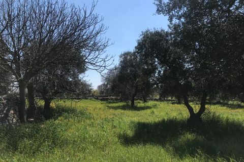 Landejendom i Cisternino, Brindisi, Cisternino - € 220.000 | Ref: 116 - foto 48