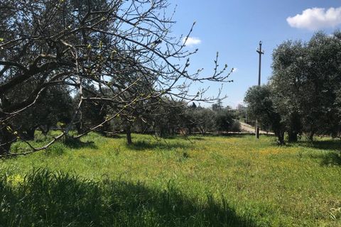 Landejendom i Cisternino, Brindisi, Cisternino - € 220.000 | Ref: 116 - foto 49