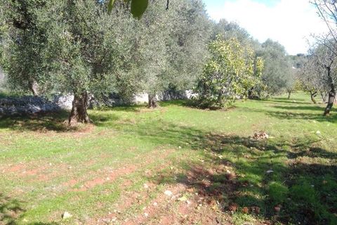 Landejendom i Ostuni, Brindisi, Ostuni - € 300.000 | Ref: 112 - foto 6