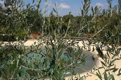 Landejendom i Ostuni, Brindisi, Ostuni - € 300.000 | Ref: 112 - foto 50