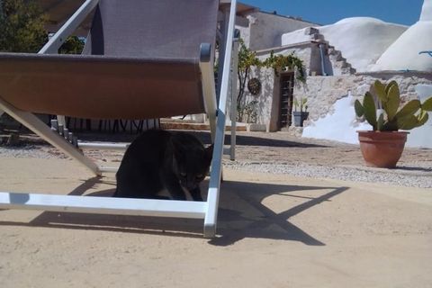 Landejendom i Ostuni, Brindisi, Ostuni - € 300.000 | Ref: 112 - foto 3