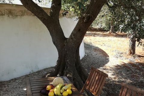 Landejendom i Ostuni, Brindisi, Ostuni - € 300.000 | Ref: 112 - foto 47