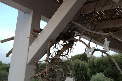 Landejendom i Ostuni, Brindisi, Ostuni - € 300.000 | Ref: 112 - foto 33