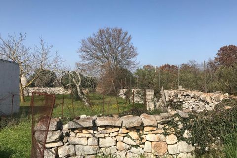 Landejendom i Ostuni, Brindisi, Ostuni - € 150.000 | Ref: 110 - foto 45