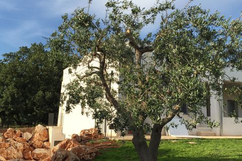 Villa a Cisternino, Brindisi, Cisternino - € 490.000 | Ref: 109 - foto 49