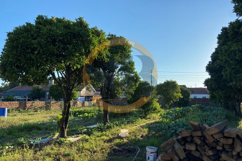 Helårsgrund i Ovar, Aveiro, Ovar - € 150.000 | Ref: T/0742 - foto 2