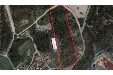 Tomt i Seroa, Porto, Seroa - € 631 000 | Ref: RO1045 - foto 6