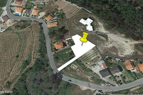 Helårsgrund i Amarante, Porto, Amarante - € 75.000 | Ref: T/10618 - foto 5