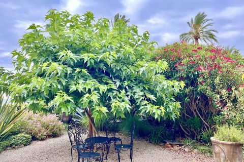 Lejlighed i Menton, Alpes-Maritimes, Menton - € 230.000 | Ref: 5835588 - foto 14