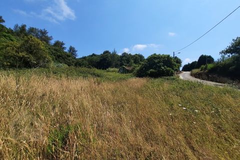 Villa i Alcobaca, Leiria, Alcobaca - € 125.000 | Ref: IC - 0275 - foto 12