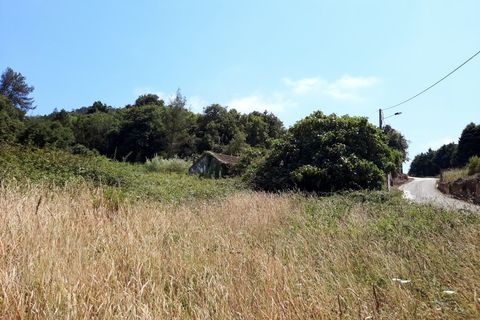 Villa i Alcobaca, Leiria, Alcobaca - € 125.000 | Ref: IC - 0275 - foto 13