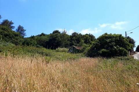 Villa i Alcobaca, Leiria, Alcobaca - € 125.000 | Ref: IC - 0275 - foto 14