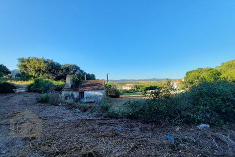 Villa i Alcobaca, Leiria, Alcobaca - € 125.000 | Ref: IC - 0275 - foto 2