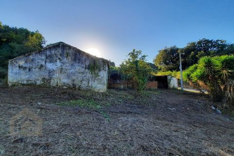 Villa i Alcobaca, Leiria, Alcobaca - € 125.000 | Ref: IC - 0275 - foto 5