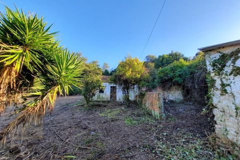 Villa i Alcobaca, Leiria, Alcobaca - € 125.000 | Ref: IC - 0275 - foto 6