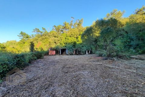 Villa i Alcobaca, Leiria, Alcobaca - € 125.000 | Ref: IC - 0275 - foto 7