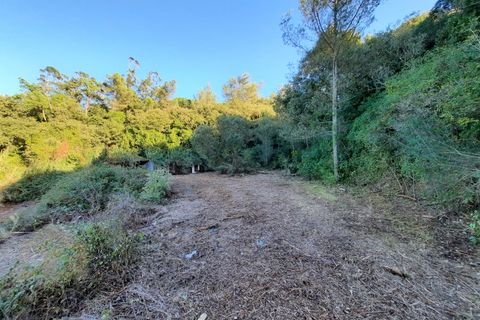 Villa i Alcobaca, Leiria, Alcobaca - € 125.000 | Ref: IC - 0275 - foto 8