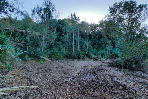 Villa i Alcobaca, Leiria, Alcobaca - € 125.000 | Ref: IC - 0275 - foto 10