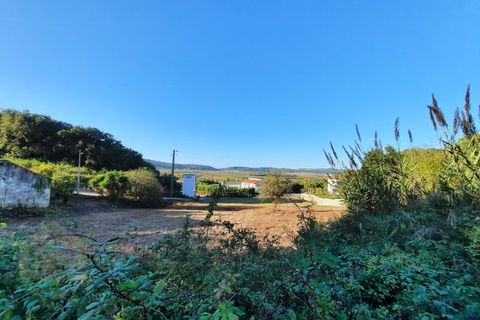 Villa i Alcobaca, Leiria, Alcobaca - € 125.000 | Ref: IC - 0275 - foto 11