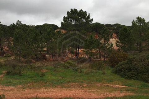 Helårsgrund i Paderne, Faro, Paderne - € 1.780.000 | Ref: 17/T/00350 - foto 21