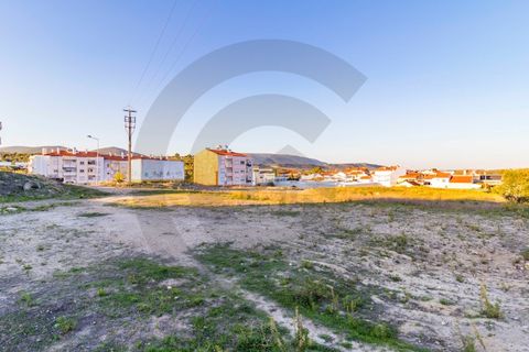 Tomt i Alcanena, Santarem, Alcanena - € 150 000 | Ref: C0269-00922 - foto 5