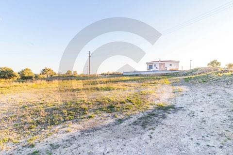 Tomt i Alcanena, Santarem, Alcanena - € 150 000 | Ref: C0269-00922 - foto 8