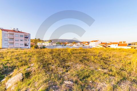 Tomt i Alcanena, Santarem, Alcanena - € 150 000 | Ref: C0269-00922 - foto 6