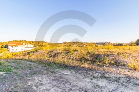 Tomt i Alcanena, Santarem, Alcanena - € 150 000 | Ref: C0269-00922 - foto 9