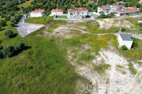 Tomt i Alcanena, Santarem, Alcanena - € 150 000 | Ref: C0269-00922 - foto 10