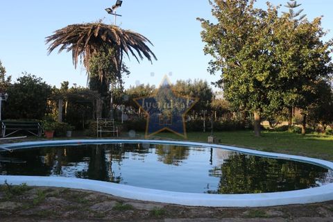 Farm i Moreira, Porto, Moreira - € 6.000.000 | Ref: 5362/20 - foto 8