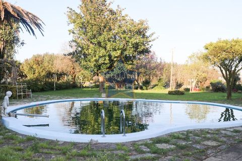 Farm i Moreira, Porto, Moreira - € 6.000.000 | Ref: 5362/20 - foto 9