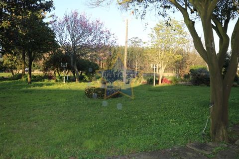 Farm i Moreira, Porto, Moreira - € 6.000.000 | Ref: 5362/20 - foto 10
