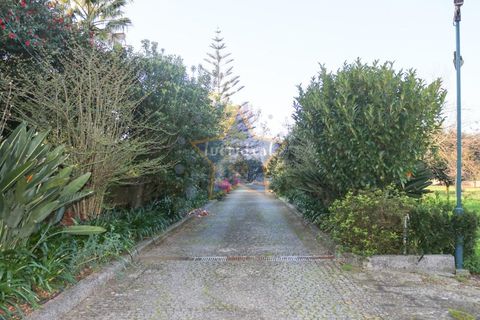 Farm i Moreira, Porto, Moreira - € 6.000.000 | Ref: 5362/20 - foto 11