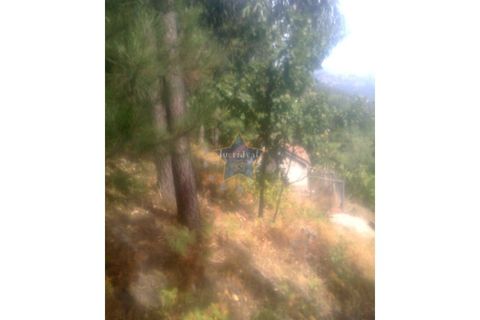 Helårsgrund i Cinfaes, Viseu, Cinfaes - € 22.500 | Ref: 2694/11 - foto 2