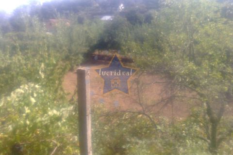 Helårsgrund i Cinfaes, Viseu, Cinfaes - € 22.500 | Ref: 2694/11 - foto 4