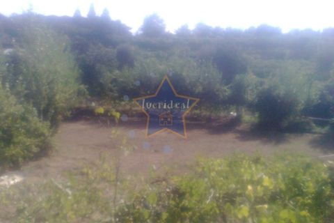 Helårsgrund i Cinfaes, Viseu, Cinfaes - € 22.500 | Ref: 2694/11 - foto 7