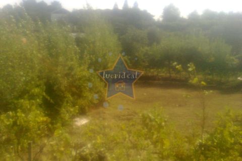 Helårsgrund i Cinfaes, Viseu, Cinfaes - € 22.500 | Ref: 2694/11 - foto 8