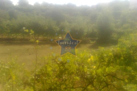Helårsgrund i Cinfaes, Viseu, Cinfaes - € 22.500 | Ref: 2694/11 - foto 9