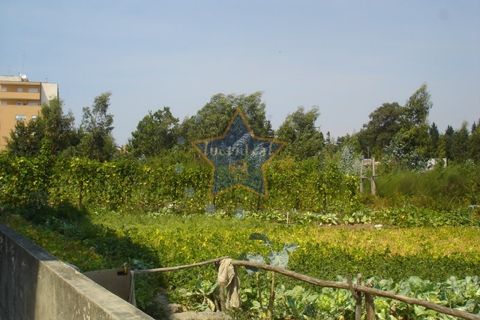 Helårsgrund i Maia, Porto, Maia - € 1.250.000 | Ref: 2306/10 - foto 3